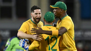 Five-wicket Parnell strikes as South Africa sweep Ireland T20 series 