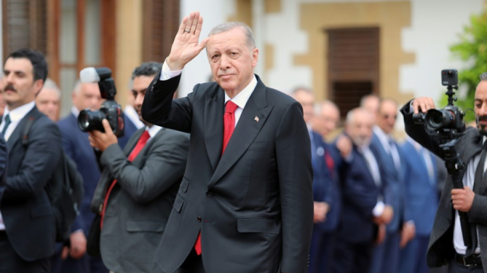 Erdogan enfría las "expectativas" de Suecia de entrar en la OTAN en julio