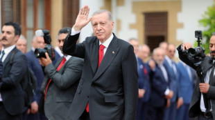 Erdogan enfría las "expectativas" de Suecia de entrar en la OTAN en julio