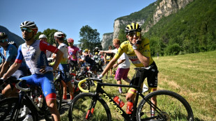 Tour de France environment protest reaches global audience