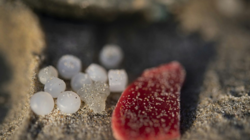 France to probe microplastic pellet pollution on Atlantic beaches