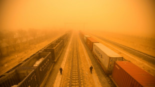 Dust in the air eased slightly in 2023: UN