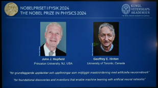 John Hopfield y Geoffrey Hinton ganan el Nobel de Física por sus aportes a la IA