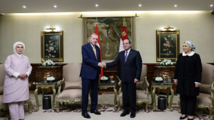 Sisi recibe a Erdogan en su primera visita a Egipto en más de diez años