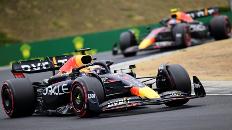 Verstappen wins Hungarian Grand Prix to extend title lead