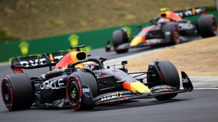 Verstappen wins in Hungary to extend title lead as Ferrari slip up