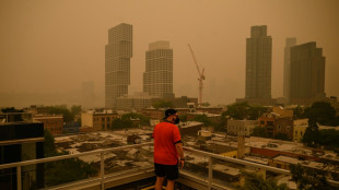 Una nueva era de polución atmosférica nace del auge de los incendios forestales