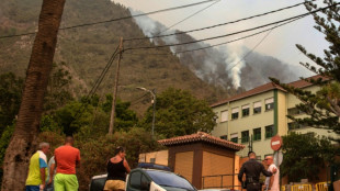 Incendie aux Canaries: les pompiers ont pu protéger des maisons durant la nuit