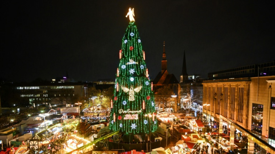 Aus tausend Rotfichten zusammengesteckt: Dortmund mit größtem Weihnachtsbaum