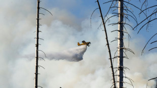 Waldbrand am Brocken unter Kontrolle: Aber noch mehrere kleine Brandstellen