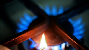 Germany to lower tax on gas to help consumers