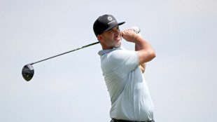 Piercy surges to three-stroke lead at PGA 3M Open