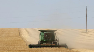 What we know about the Russia-Ukraine grain deal