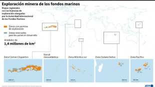 Un tesoro biológico ignorado puebla los grandes fondos marinos codiciados por la extracción minera