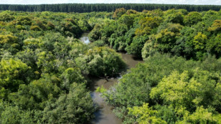 Uruguay: un pequeño país con una gran ambición verde de cara al balotaje