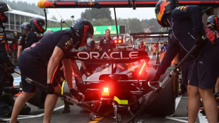 Verstappen edges Leclerc in Belgian GP practice as grid penalties loom