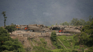 Environmental groups urge EU 'high risk' label for Sarawak