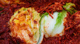 Klimakrise killt Kimchi: Hitzewelle in Korea treibt Kohl-Preise in die Höhe