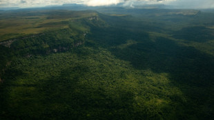 Guyana appeals to UN court as Venezuelan plans vote in disputed zone