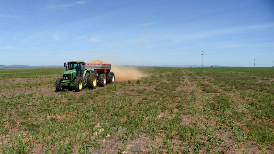 Erzeugerpreise landwirtschaftlicher Produkte im Januar um 7,7 Prozent gesunken