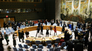 UN Security Council extends talks on cross-border aid to Syria