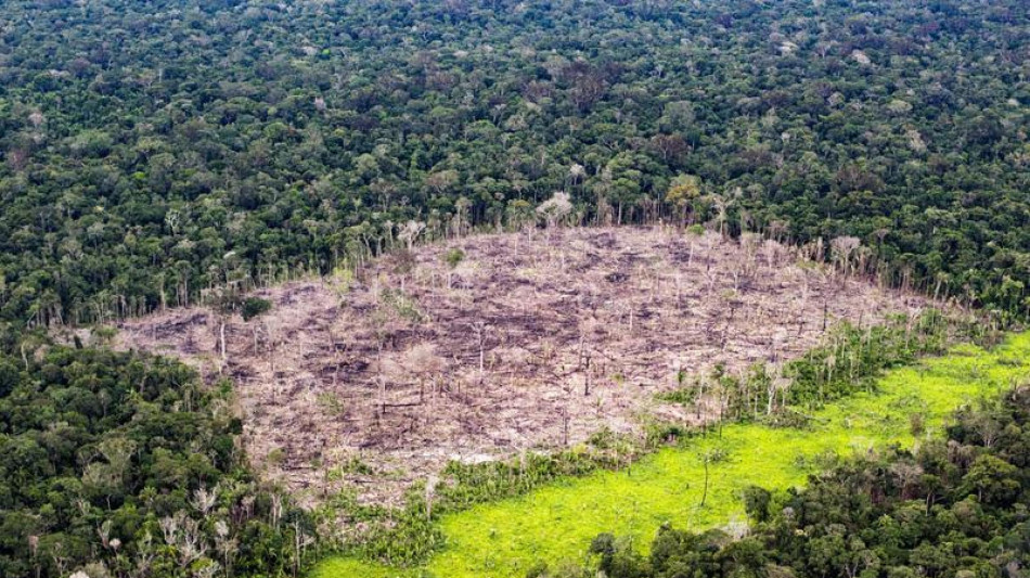 Il Brasile si lancia come leader globale dell'idrogeno verde