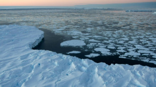 La banquise au plus bas dans un monde qui connaît toujours une chaleur hors norme