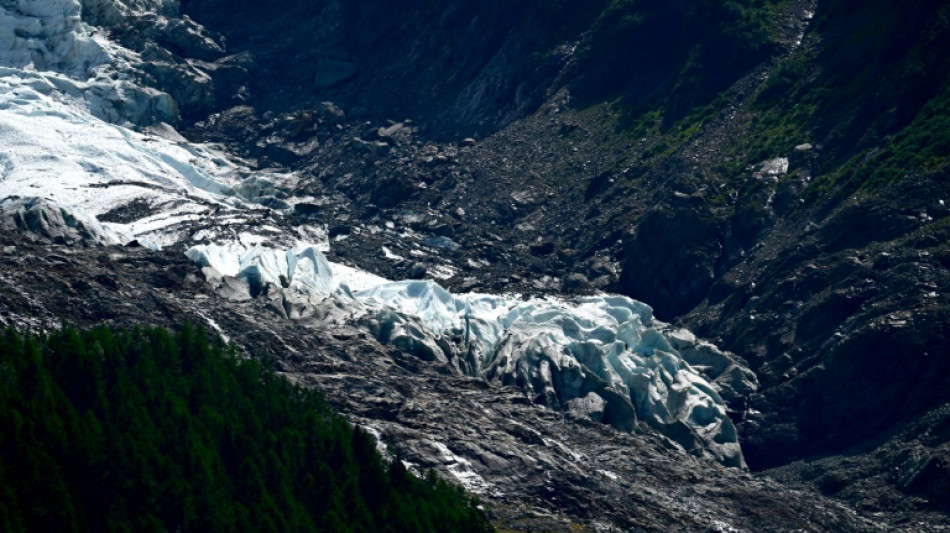 Retreating glaciers reveal new pastures for conservationists