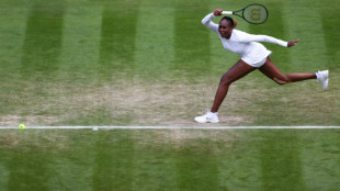 Venus Williams given singles wildcard to play Toronto