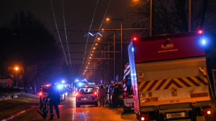 Zehn Tote bei Feuer in siebenstöckigem Wohnhaus bei Lyon