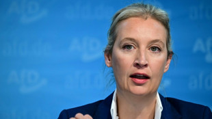 Parteichefin Weidel soll Kanzlerkandidatin der AfD werden