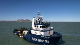 New vessel deployed in fight to save near-extinct Mexico porpoise