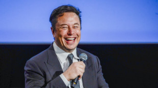 Succéder à Elon Musk, la gageure du futur nouveau patron de Twitter