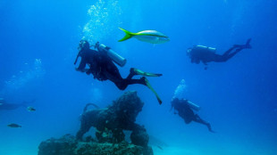 Au large de la Floride, un cimetière sous-marin utile à la faune aquatique