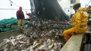 EU-Fischereiminister vereinbaren deutliche Anhebung der Fangquoten in der Nordsee