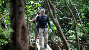 Phillips and Pereira: the men missing in the Amazon