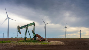 Nach Druck von Republikanern: US-Investmentfirmen verlassen Klimaschutzinitiative