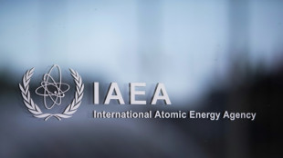 UE pide a Irán que reconsidere veto de inspectores nucleares de OIEA