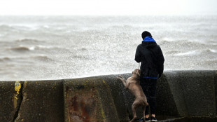 Wetterdienst erwartet Sturm und Orkan ab Donnerstag im Norden und der Mitte