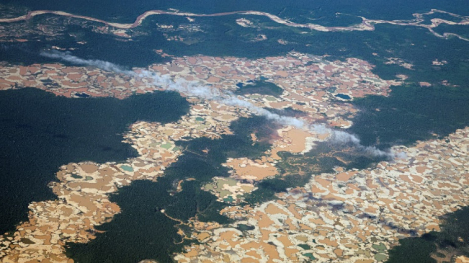 L'Amazonie péruvienne consumée par l'exploitation aurifère illégale