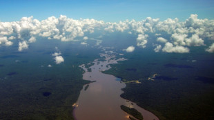 El Esequibo, centro de disputa entre Guyana y Venezuela desde el siglo XIX