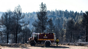 El primer gran incendio del año en España evoluciona favorablemente