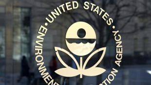 US EPA moves to reduce exposure to carcinogenic sterilizer