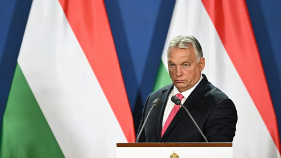 Orban sagt Auftritt vor EU-Parlament wegen Hochwasser ab