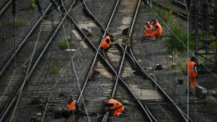 Verkehrsverbünde sehen steigendes Interesse an Reaktivierung alter Bahnstrecken