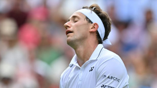 Wimbledon: Rybakina au rendez-vous, Ruud déçoit encore