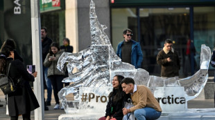 ¿Qué se está negociando a escala global en Chile para proteger la Antártida?