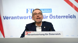 FPÖ und ÖVP beginnen Koalitionsverhandlungen - Haushaltskrise zentrales Thema