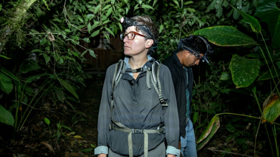 Dos ranas en el centro de una batalla contra la minería en Ecuador