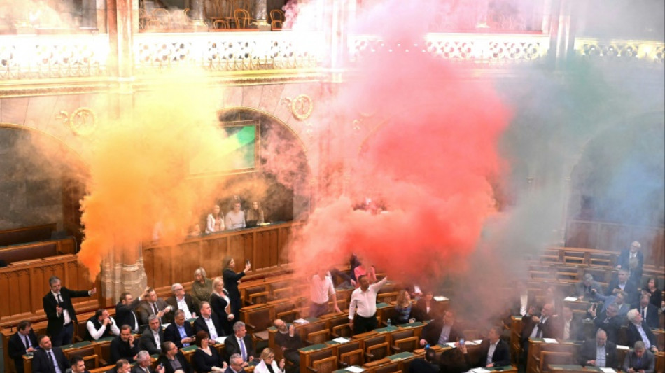 Ungarisches Parlament verabschiedet Gesetz zum Verbot von Pride-Parade